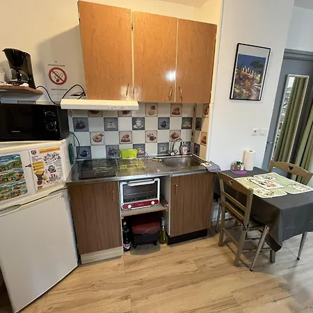 Apartment Le Petit Roitelet - Calme Et Lumineux A 50 M Des Thermes - Classe 2 Etoiles *