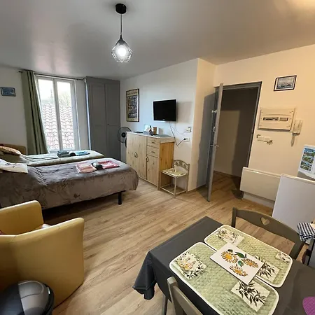Le Petit Roitelet - Calme Et Lumineux A 50 M Des Thermes - Classe 2 Etoiles Apartment